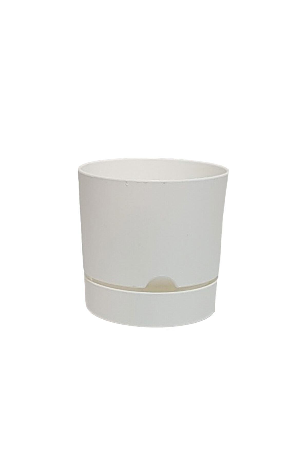 Λευκό – 21 cm × 20,5 cm – Στρογγυλή γλάστρα 5 λίτρων - Image 3