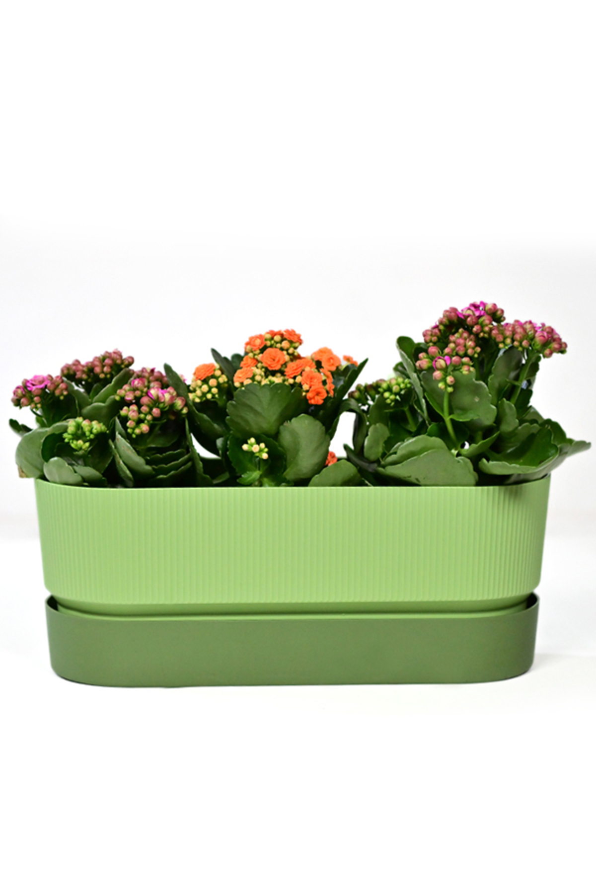 Πολύχρωμο – 39,5 cm × 22 cm × 17 cm – Πλαστική διπλή κρεμαστή γλάστρα μπαλκονιού - Image 2