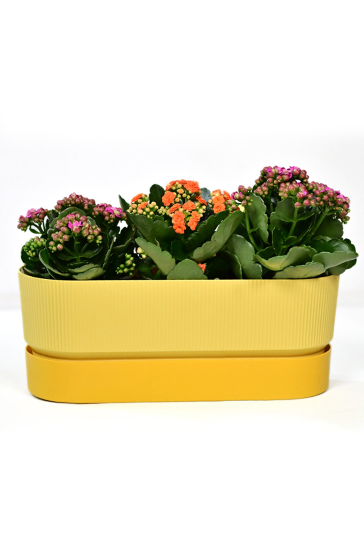 Πολύχρωμο – 39,5 cm × 22 cm × 17 cm – Πλαστική διπλή κρεμαστή γλάστρα μπαλκονιού - Image 4