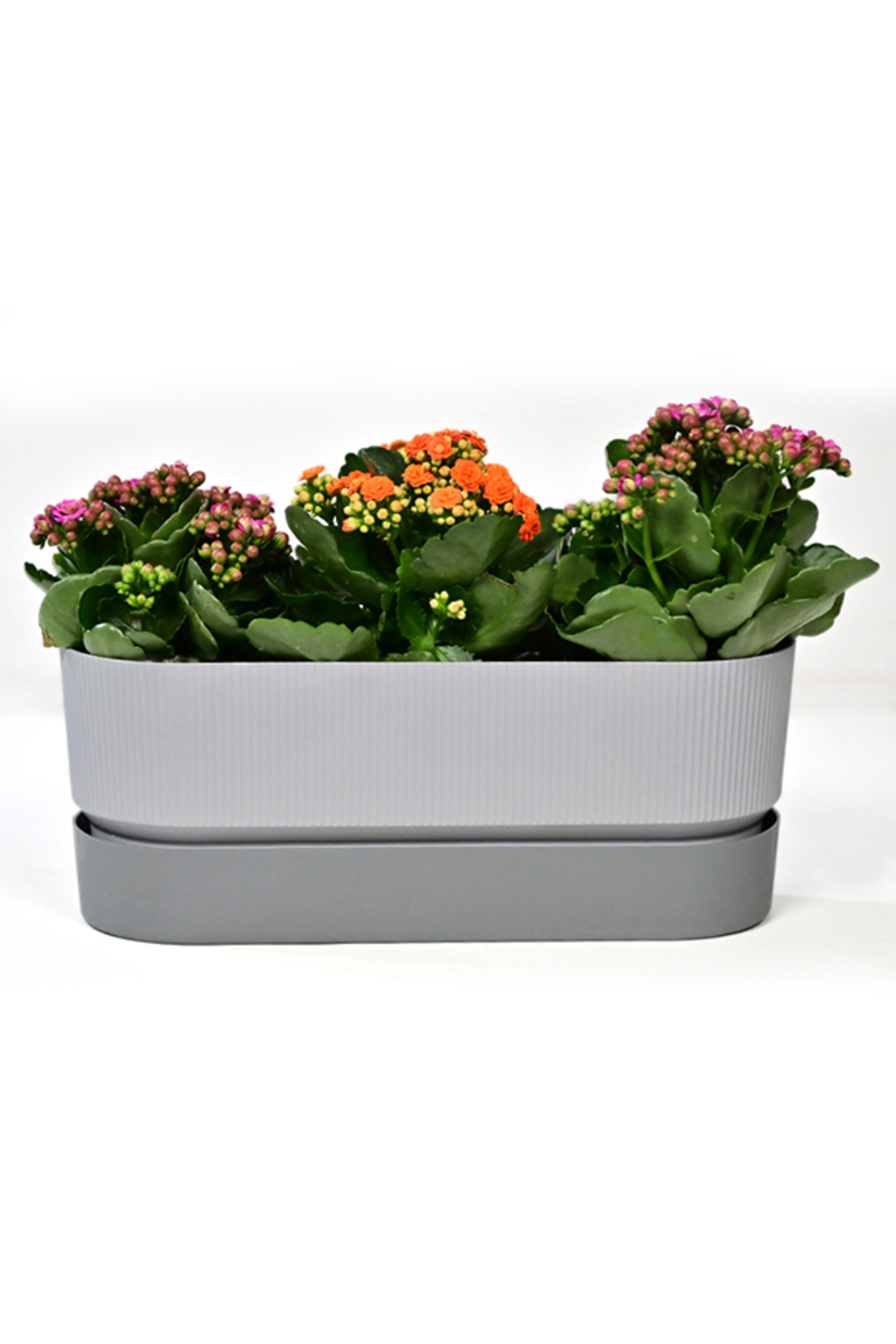 Πολύχρωμο – 39,5 cm × 22 cm × 17 cm – Πλαστική διπλή κρεμαστή γλάστρα μπαλκονιού - Image 6