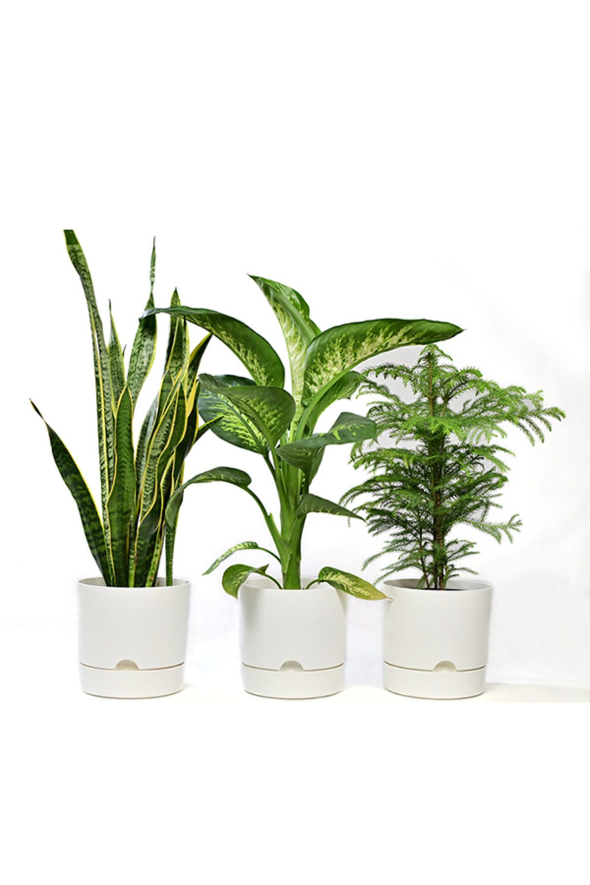 Λευκό – Ύψος 25 - 30 cm, Διάμετρος 20-25 cm – Πλαστική Γλάστρα με Πιάτο 9 Λίτρων - Image 2