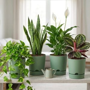 Πράσινο – 24,5 cm × 23 cm – Πλαστική γλάστρα με πιατάκι 9 λίτρων