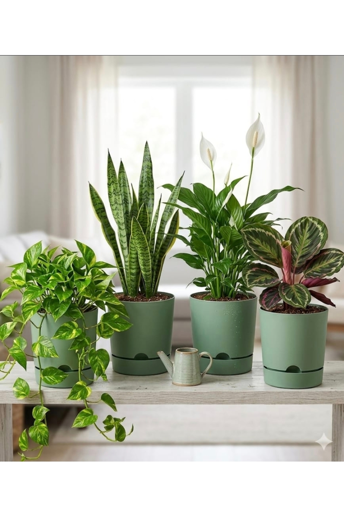 Πράσινο – 24,5 cm × 23 cm – Πλαστική γλάστρα με πιατάκι 9 λίτρων