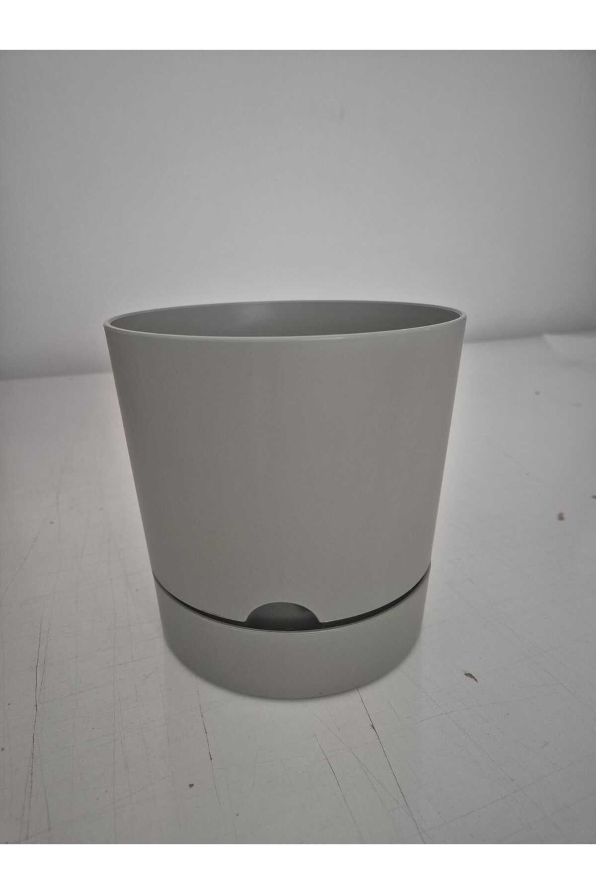 Μπεζ – Ύψος 15 - 20 cm, Διάμετρος 20-25 cm – Πλαστική Γλάστρα 5lt - Image 4