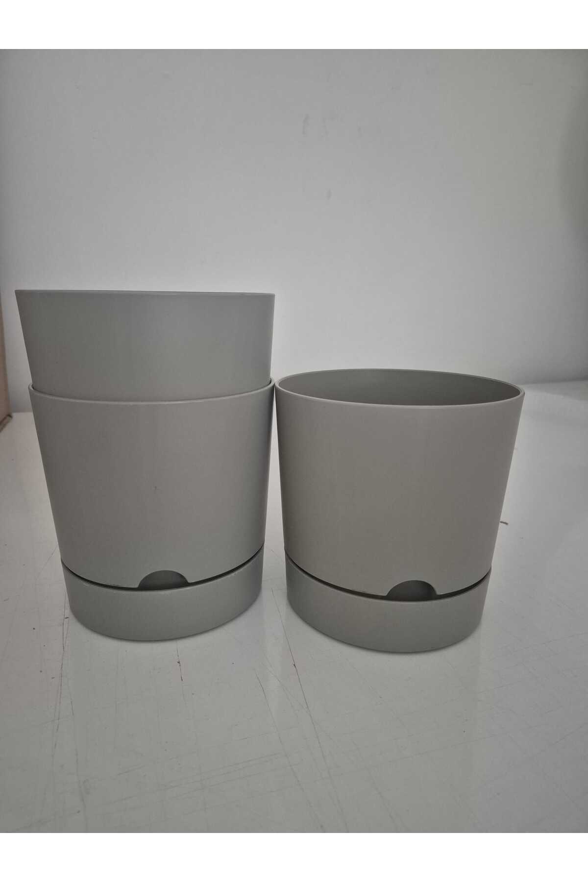 Μπεζ – Ύψος 15 - 20 cm, Διάμετρος 20-25 cm – Πλαστική Γλάστρα 5lt - Image 5
